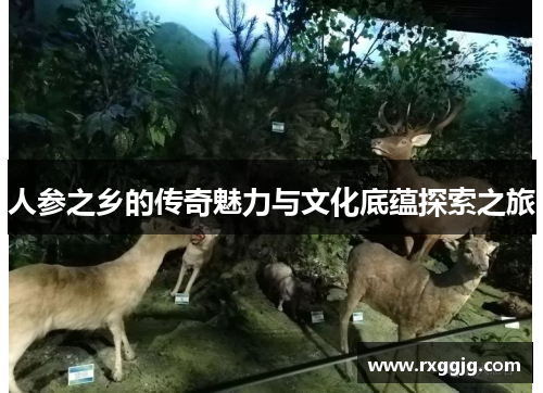 人参之乡的传奇魅力与文化底蕴探索之旅