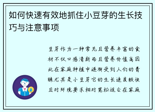 如何快速有效地抓住小豆芽的生长技巧与注意事项 如何快速有效地抓住小豆芽的生长技巧与注意事项